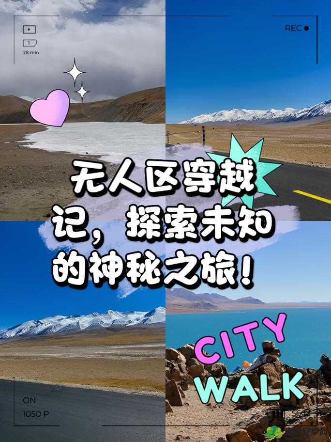 阿铜铜铜水：探索未知的神秘之旅