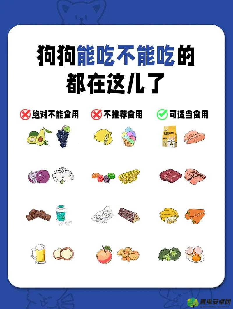 人狗胶配方大全狗狗一：探索宠物健康饮食的神秘配方