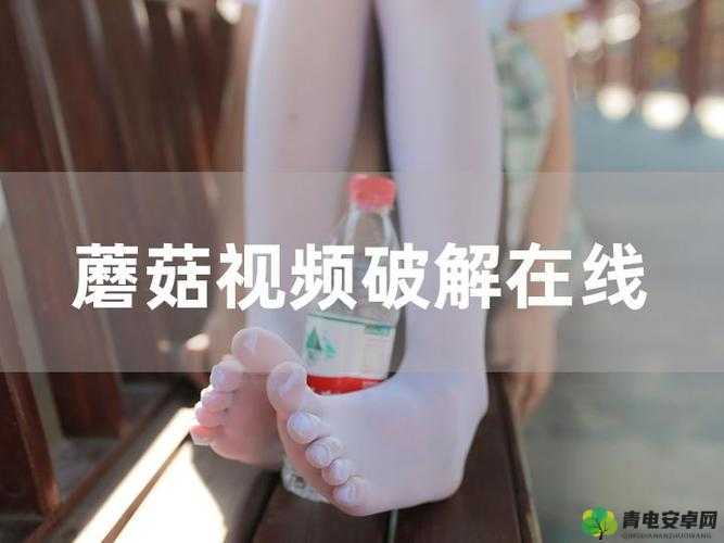 蘑菇视频污污污：探索独特精彩的污污世界