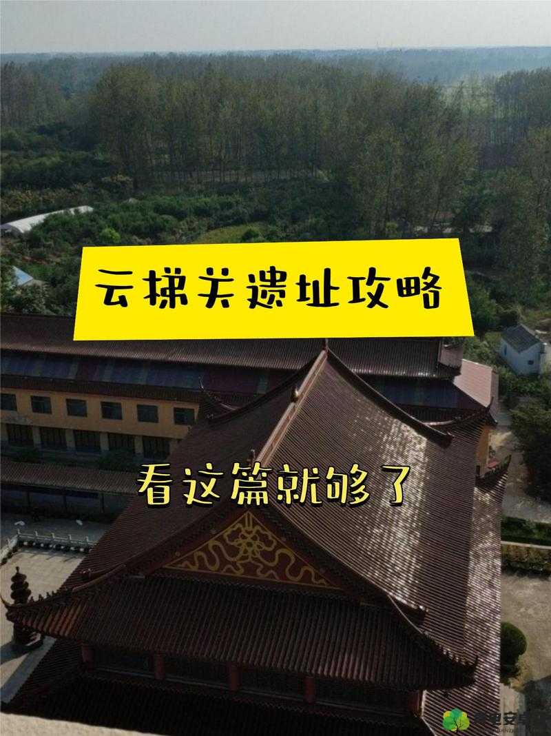 一起草在哪 17c14：探究历史文化的神秘面纱