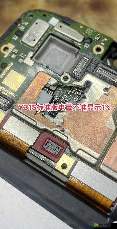 y31s 和 y31s 标准区别更新了：全面解析新变化与优势