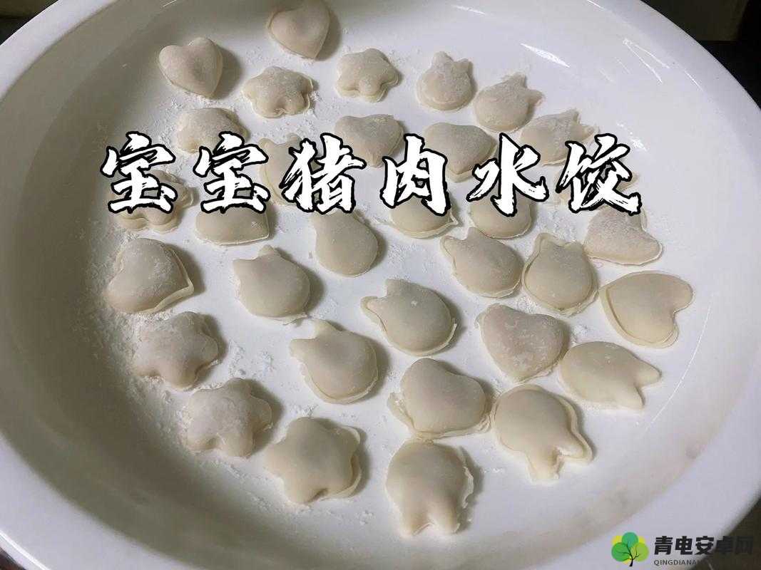 传授美味肉馅小水饺的授课方式及制作要点