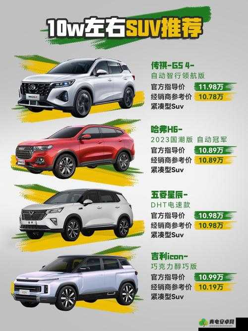 国产 SUV 精品一区二区四：带你领略不同区域的车型魅力