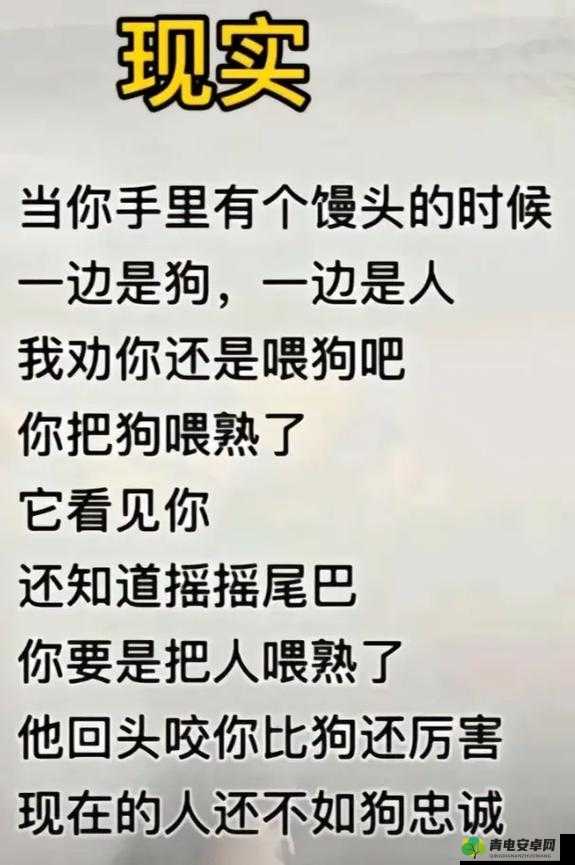 狗配人怎样配？马配人呢？——探索动物与人类的奇妙关系