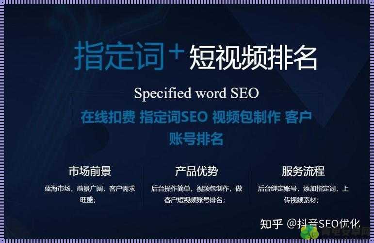 SEO 短视频网页入口：探索更多精彩视频