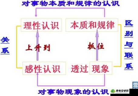 探讨大陆狼友文化，从现象到本质的深度分析