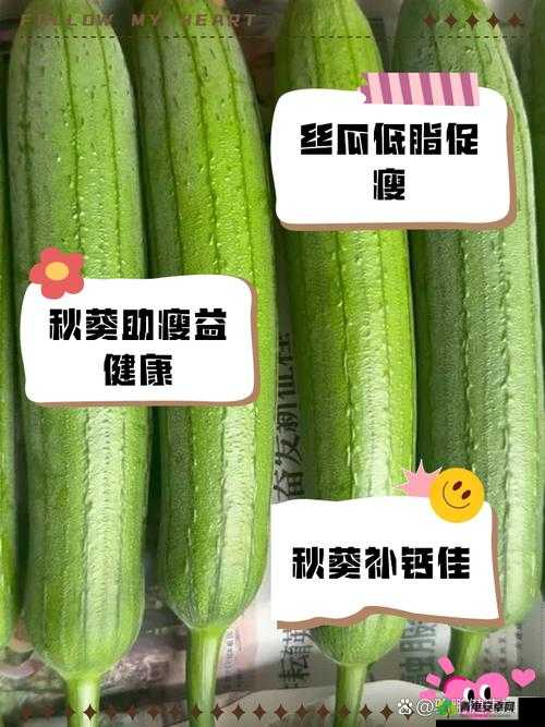 丝瓜草莓秋葵茄子鸭脖内容无删减随意畅享：带来丰富食材体验