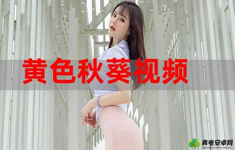 黄色 AV 女佣：揭秘成人世界的私密服务