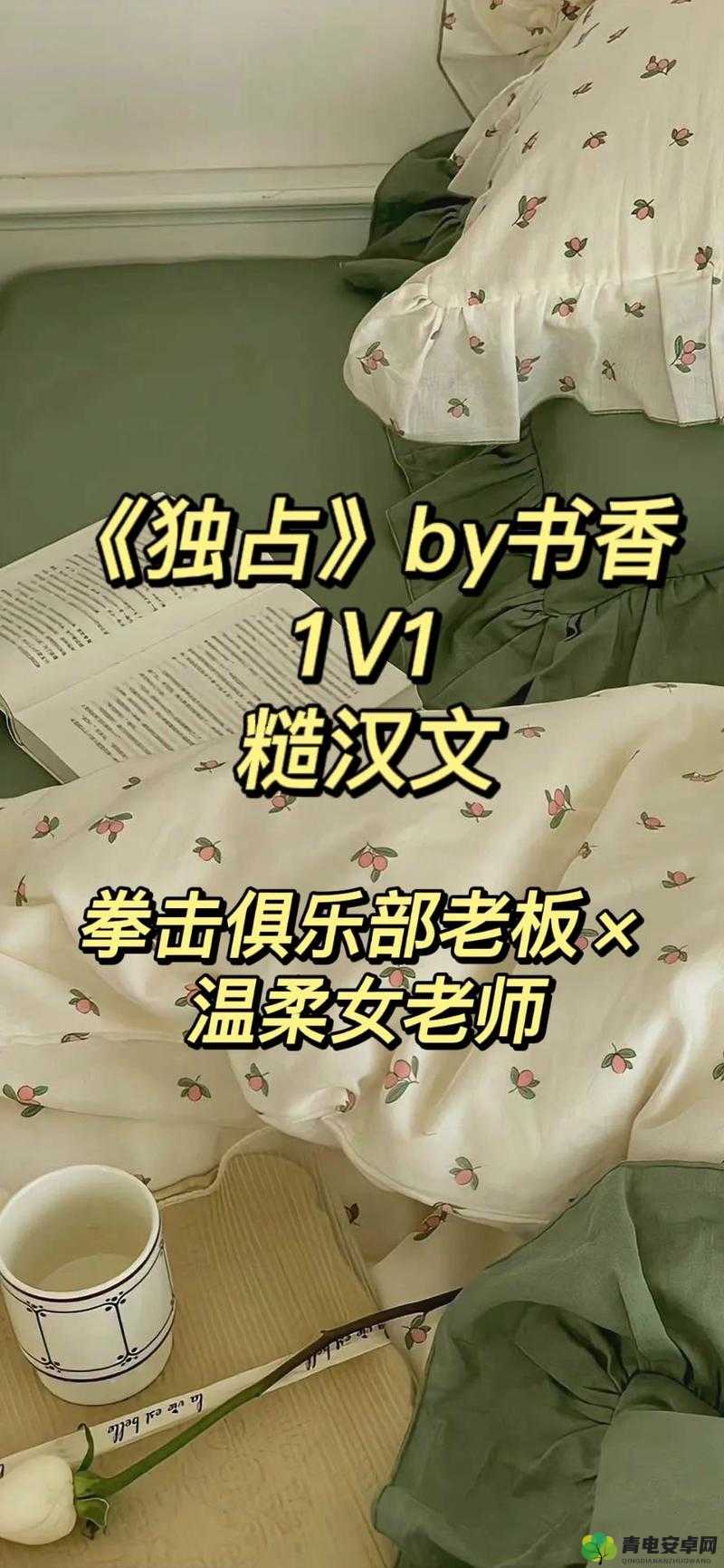 独占糙汉 1v1 书香袋熊布丁：一场独特的情感之旅