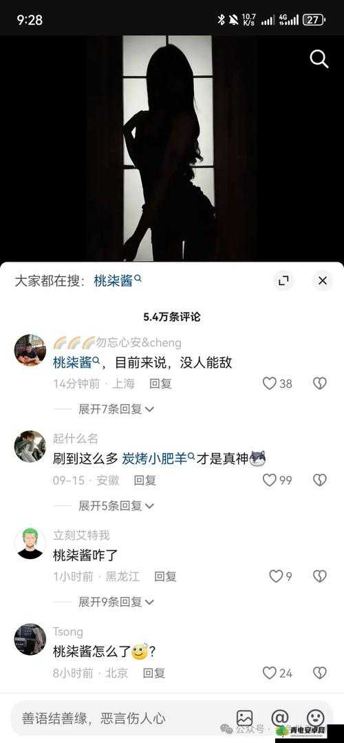 黑网曝吃瓜泄密：探寻背后真相与潜在风险警示