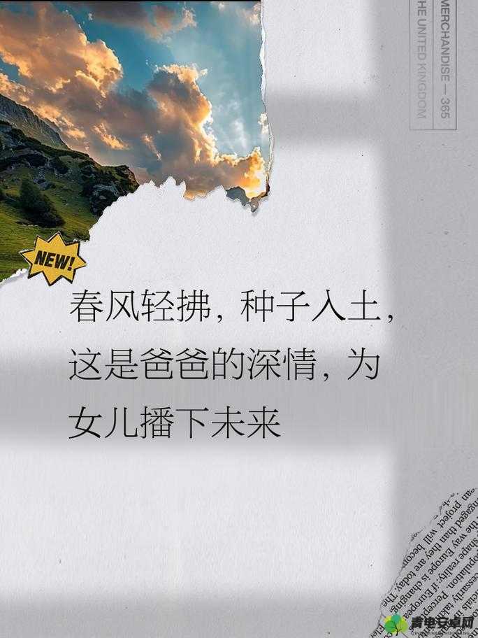 需要父亲播种美国：探讨背后的意义与影响