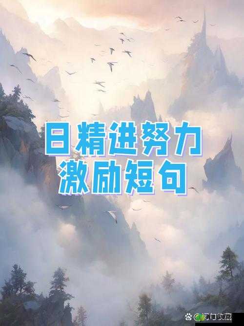 日日精进，久久为功：持续努力不懈追求卓越