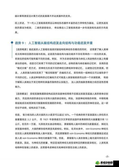 禁播网：关于其影响及相关问题的深入探讨与分析