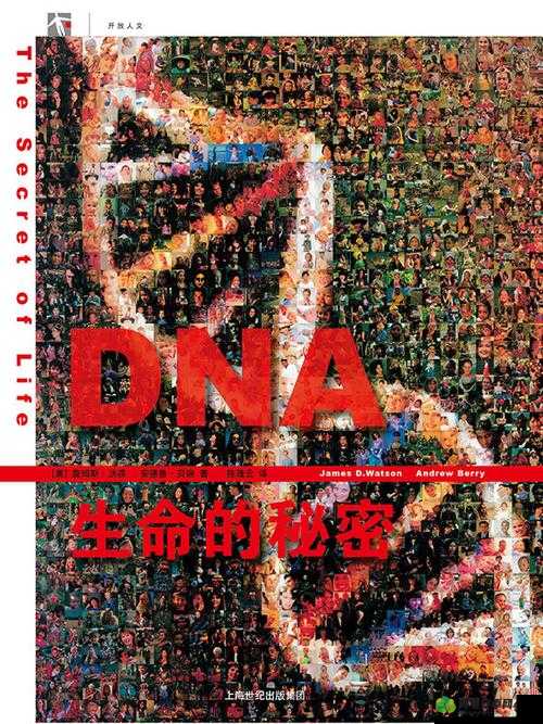 人与 DNA 的 DNA 免费：探索生命密码背后的奥秘之旅