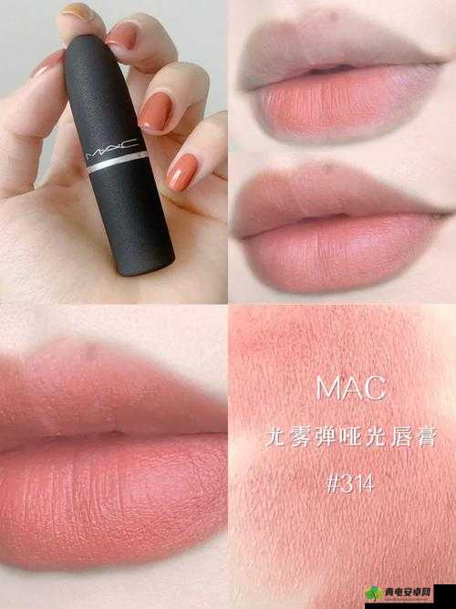 MAC 蜜桃色 314 入口：探索迷人色彩的魅力世界