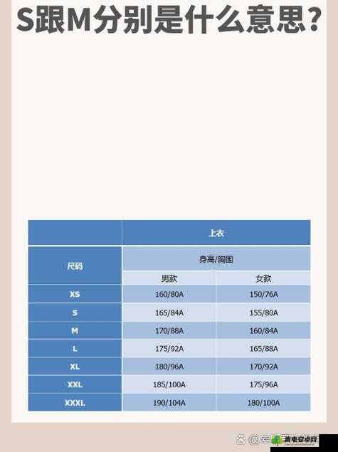 亚洲 M 码、欧洲 S 码 SSS222：探索不同尺码的时尚密码