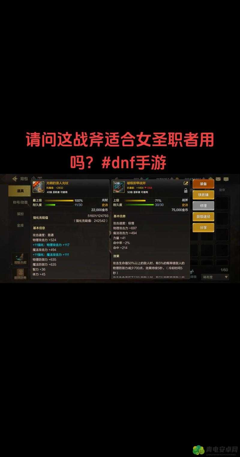 DNF手游女圣职者职业深度解析，刷图表现与实力评估