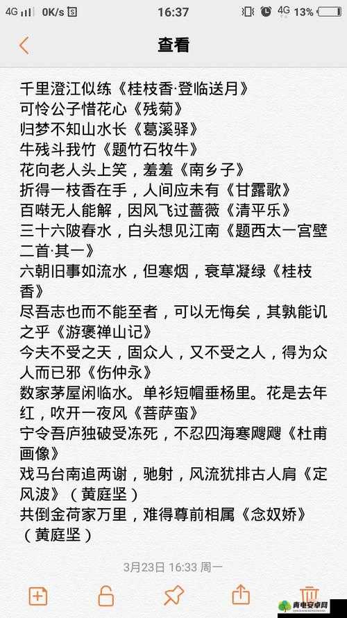 墨魂王安石联诗深度攻略，全面解锁并探索千古才子王安石的诗意世界