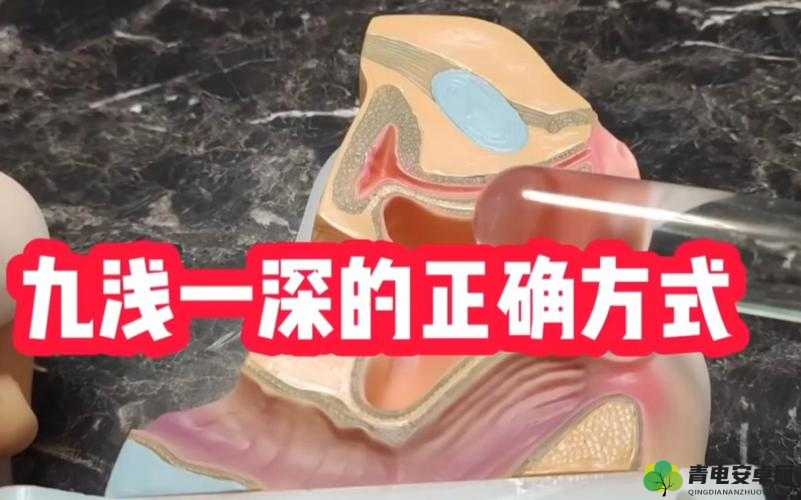 九浅一深与九深一浅哪种更好之探讨