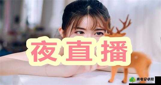 2021 夜里必用 APP 直播：深夜陪伴，畅享无限精彩