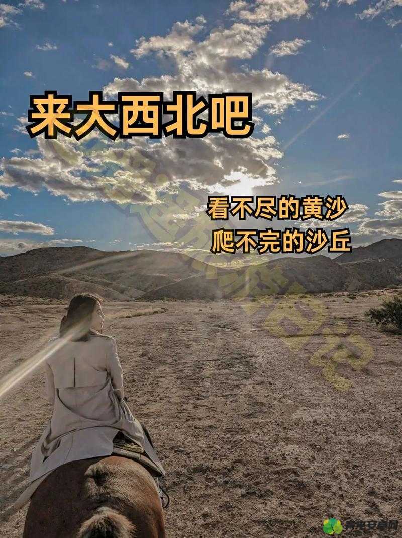 西北君君的奇妙之旅：探索西北的独特风情与故事