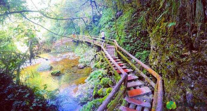 烟雨江湖之旅，深入龙隐峡，探寻神秘峡谷的奇幻之旅