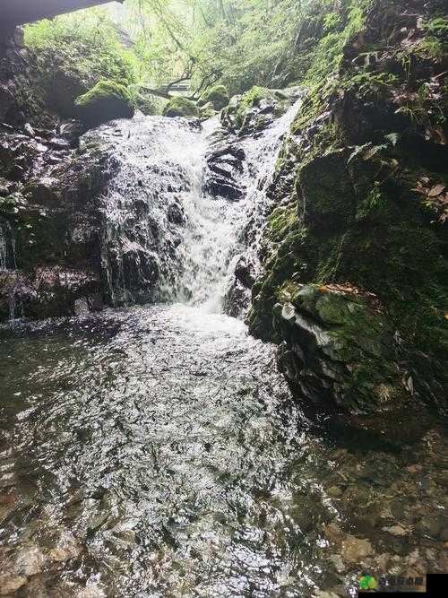 爹爹黄龙直捣溪水潺潺，激情四溢的冒险之旅