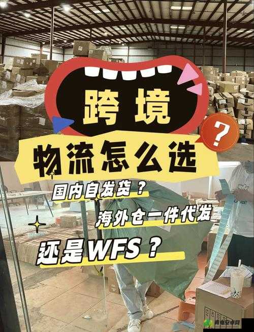 欧洲码与日本码专线，跨境物流的新选择