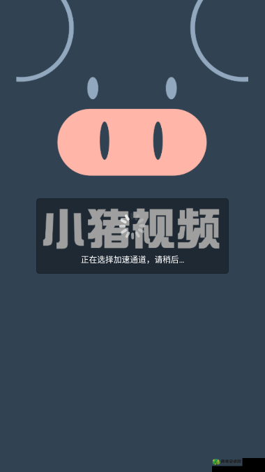 小猪视频 app 多人运动版：一款独特的视频应用平台