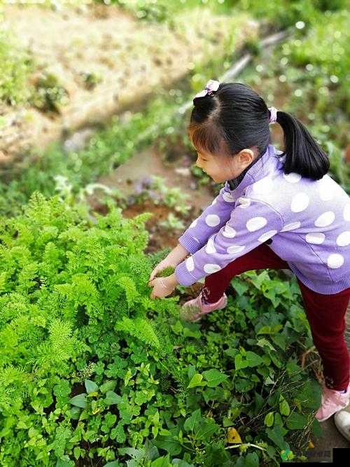 二人世界拔萝卜最新版本更新内容：更多精彩等你体验