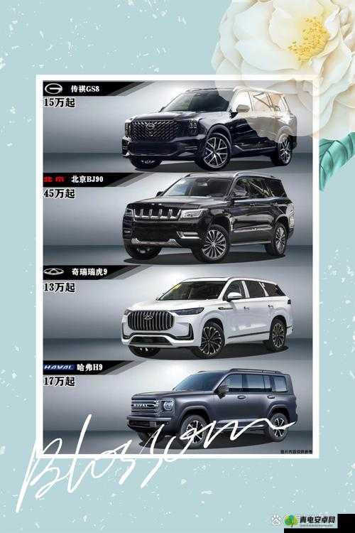 国产 SUV 精品 201——卓越品质引领驾乘新潮流