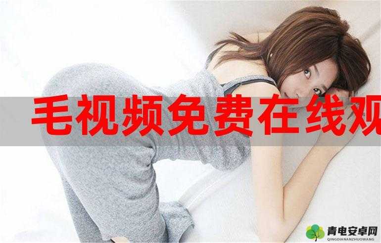 免费观看短视频的app软件：精彩视频随时畅享无限制