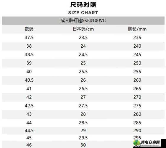 欧洲尺码日本尺码专线文化差异之比较分析与探讨