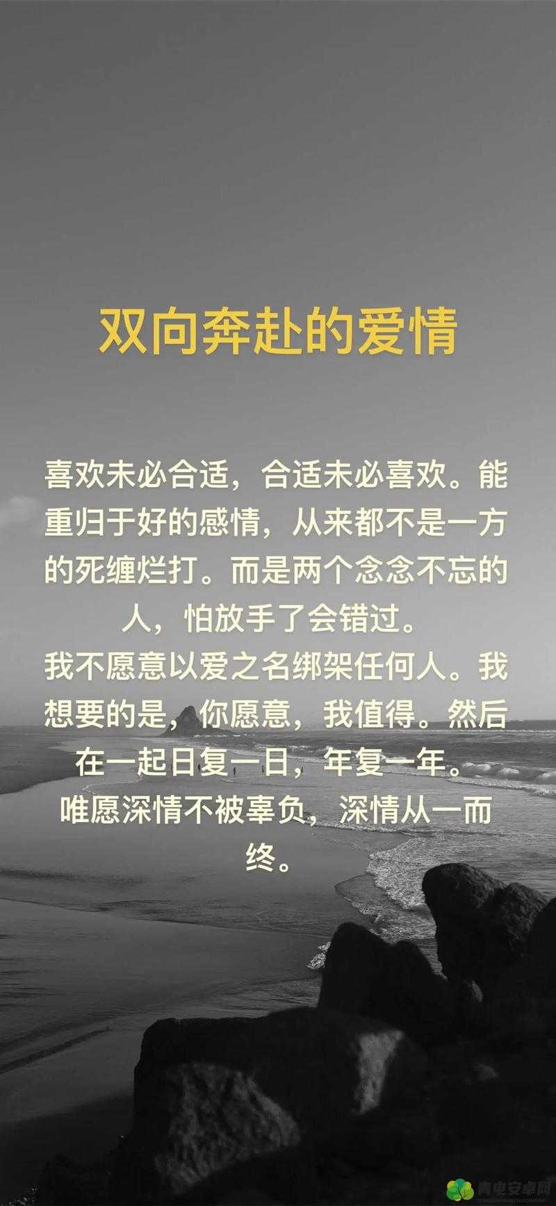 双向奔赴 1V1 的浪漫爱情故事