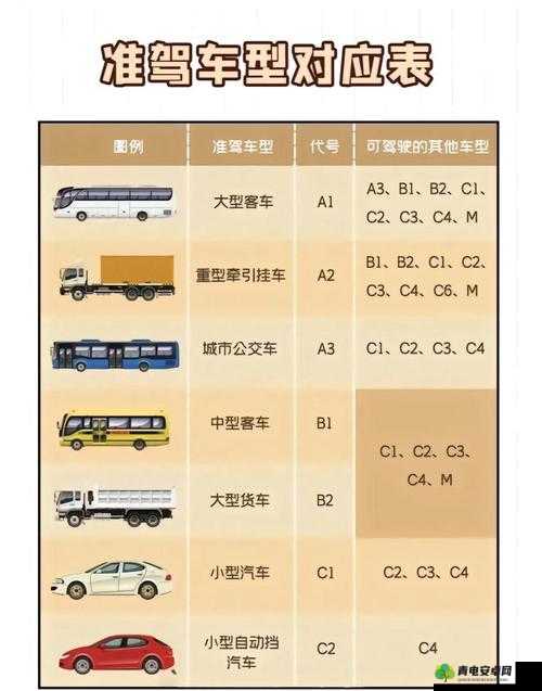 国产 A1a2a317c 最新使用攻略全解与实用技巧分享