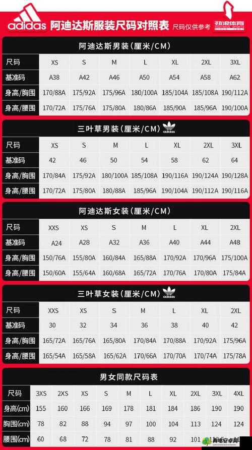 三叶草 M 码和欧洲码区别：尺码标准差异全解析