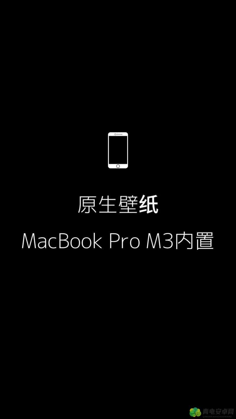 性系 macbookpro 高清：带你领略极致视觉体验与强大性能表现