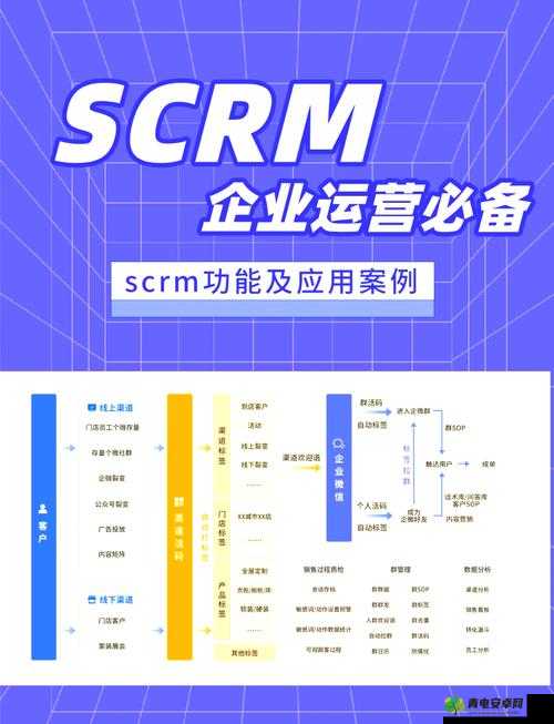 成品视频 CRM ：提升企业客户关系管理效率的利器