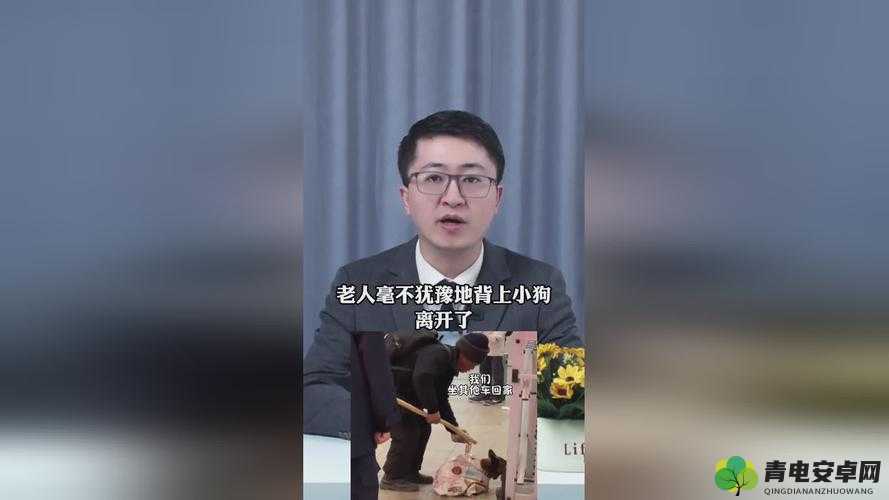 拔萝卜打牌不盖被子：央视怒吼背后的惊人真相