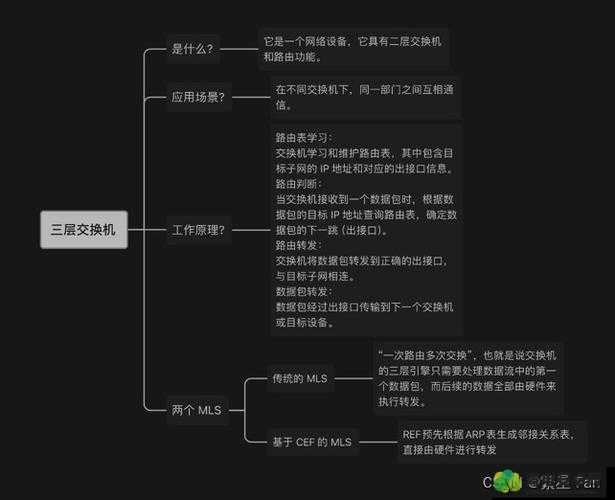 交换 3：一场关于交换 3 的独特探讨与思考