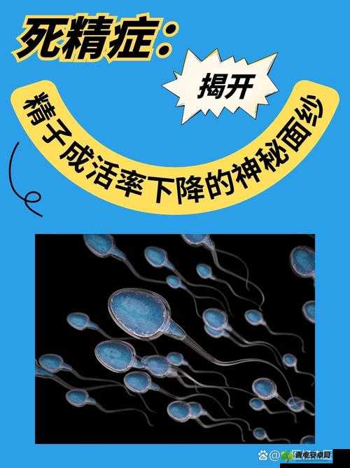 针对国精产品 8220 进行全面深入解读并探讨其特点及应用