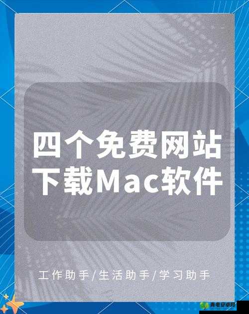 靠比较软件下载大全app网站：涵盖丰富软件资源的优质平台