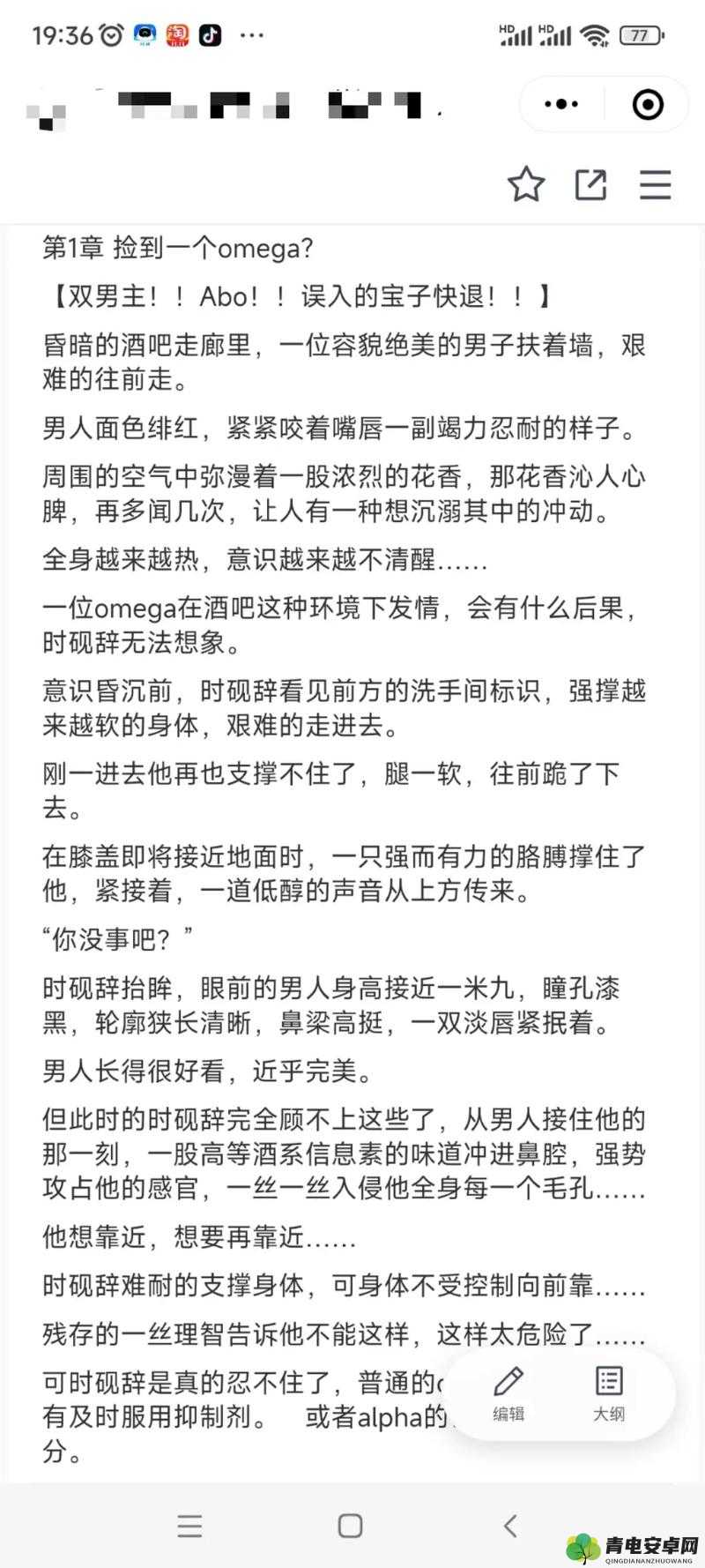 车速超快的双男主：激情狂飙的热血传奇