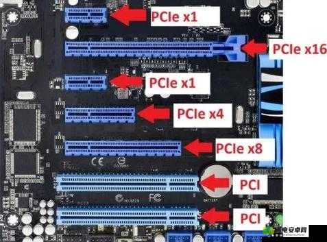 日本插槽 X8 插槽怎么用：详细解析与使用指南