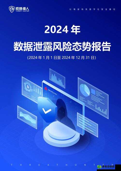 2024 年不良的软件窗口：隐私泄露与风险警示