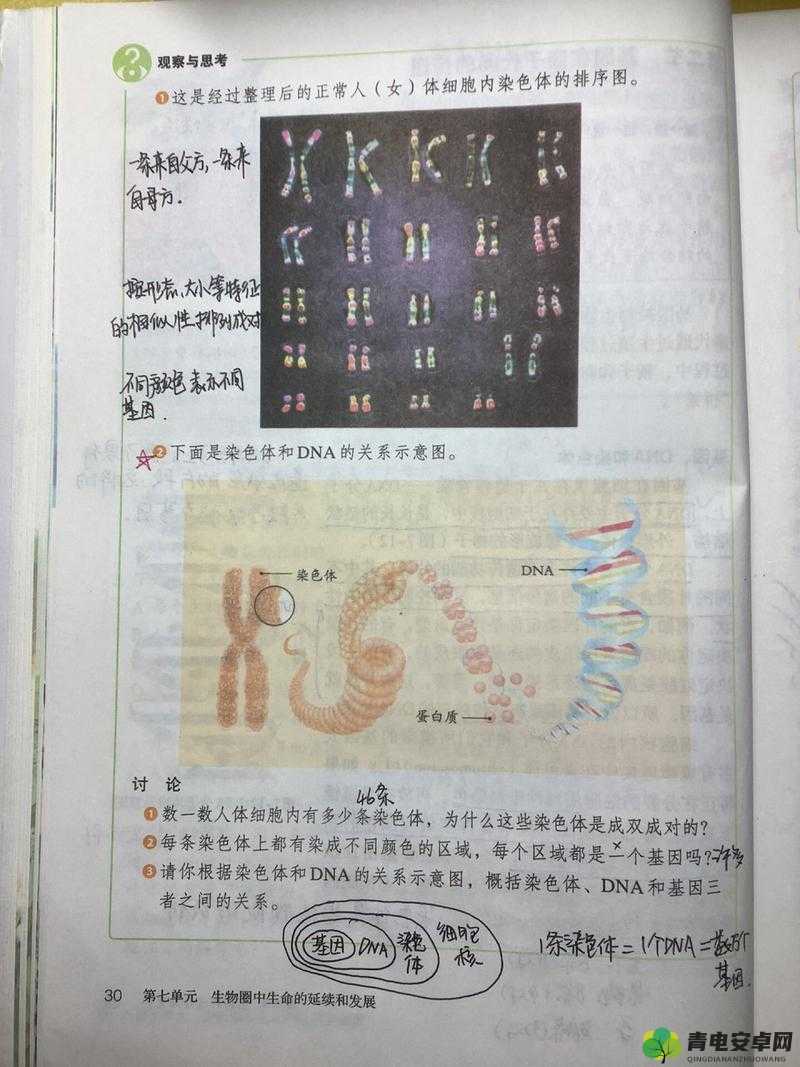 母亲 DNA 和儿子 DNA 一样不：探寻亲子遗传的奥秘与真相