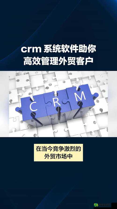 好看的国外crm视频-领略国际前沿客户管理的魅力展现