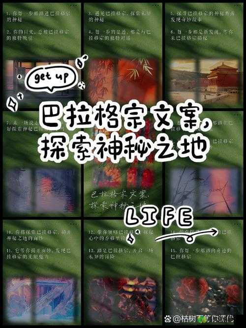 17c.vip 黑料不打烊官网登录：探索神秘之地