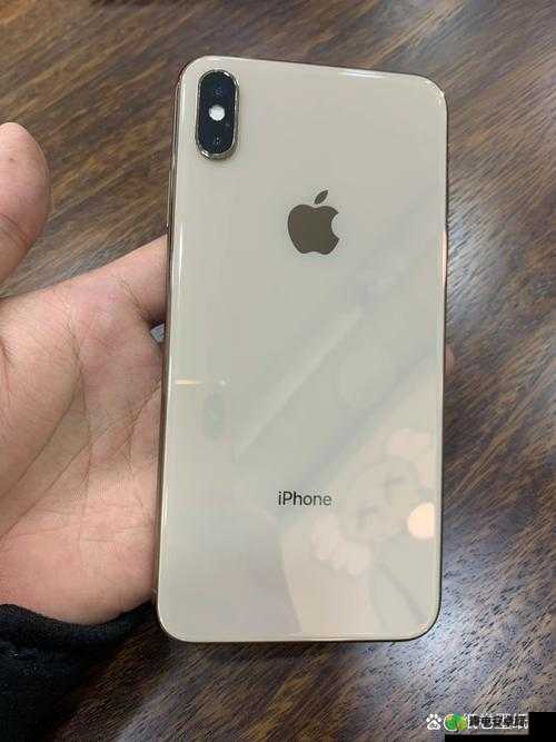 揭秘欧美 iPhone XS Max 视频重回巅峰：背后的真相到底是什么？