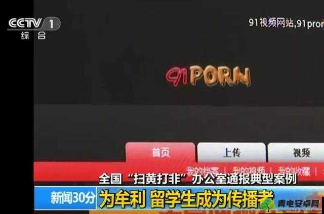 91PORNY在线：一个不适合公开讨论的内容平台